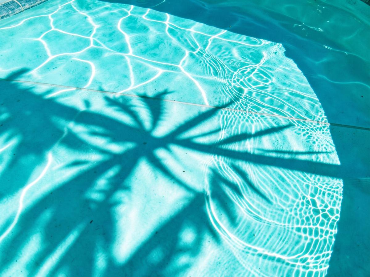 Poolvatten med palmskugga
